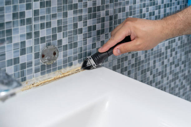 Best Black Mold Removal  in Goodwell, OK