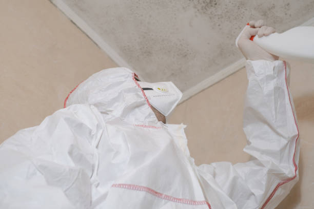 Best Certified Mold Removal  in Goodwell, OK