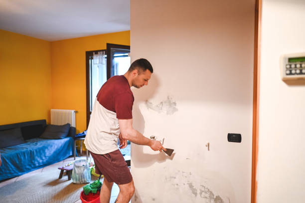Best Affordable Mold Removal  in Goodwell, OK